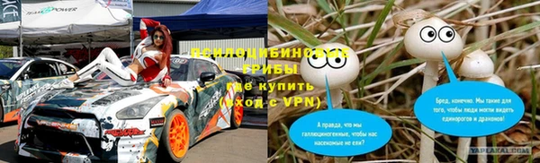 спайс Алексин