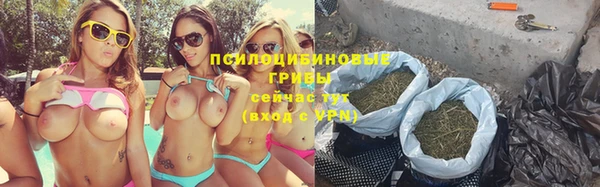 каннабис Арсеньев