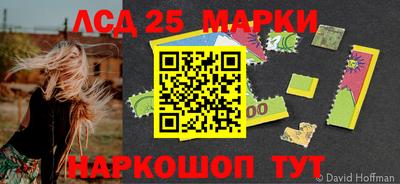 амф Боровичи